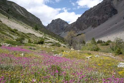 Rando Col du Vallon