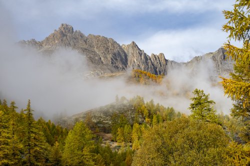 En montant vers le refude du Ruitor