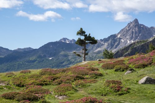 Entre le refuge des Drayères et le refuge Laval