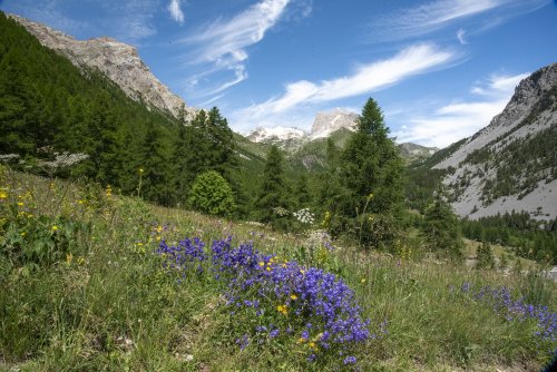 En direction de la Vallée des Granges