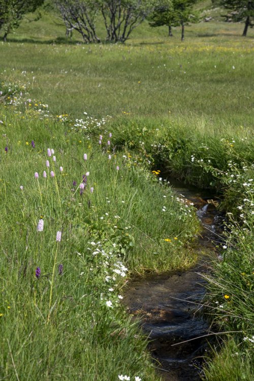Le long de La Clarée